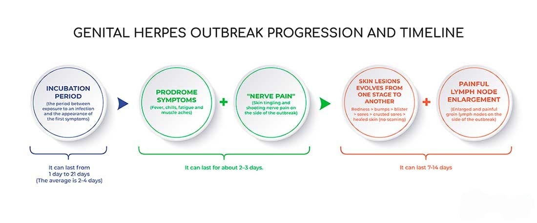 1-Genital-herpes-progression11-3